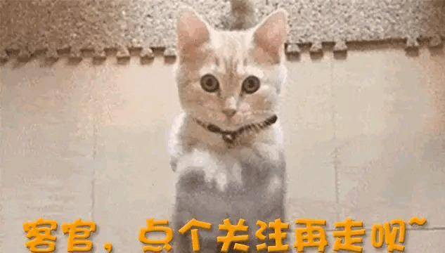 上日本杂志封面终于扬眉吐气了真是一代更比一代强王楚钦登(图7)